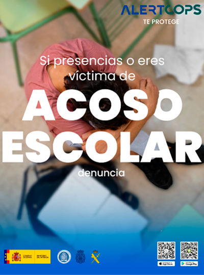 Cartel acoso escolar