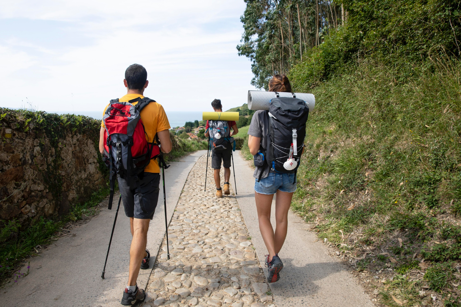 Noticia-camino de santiago