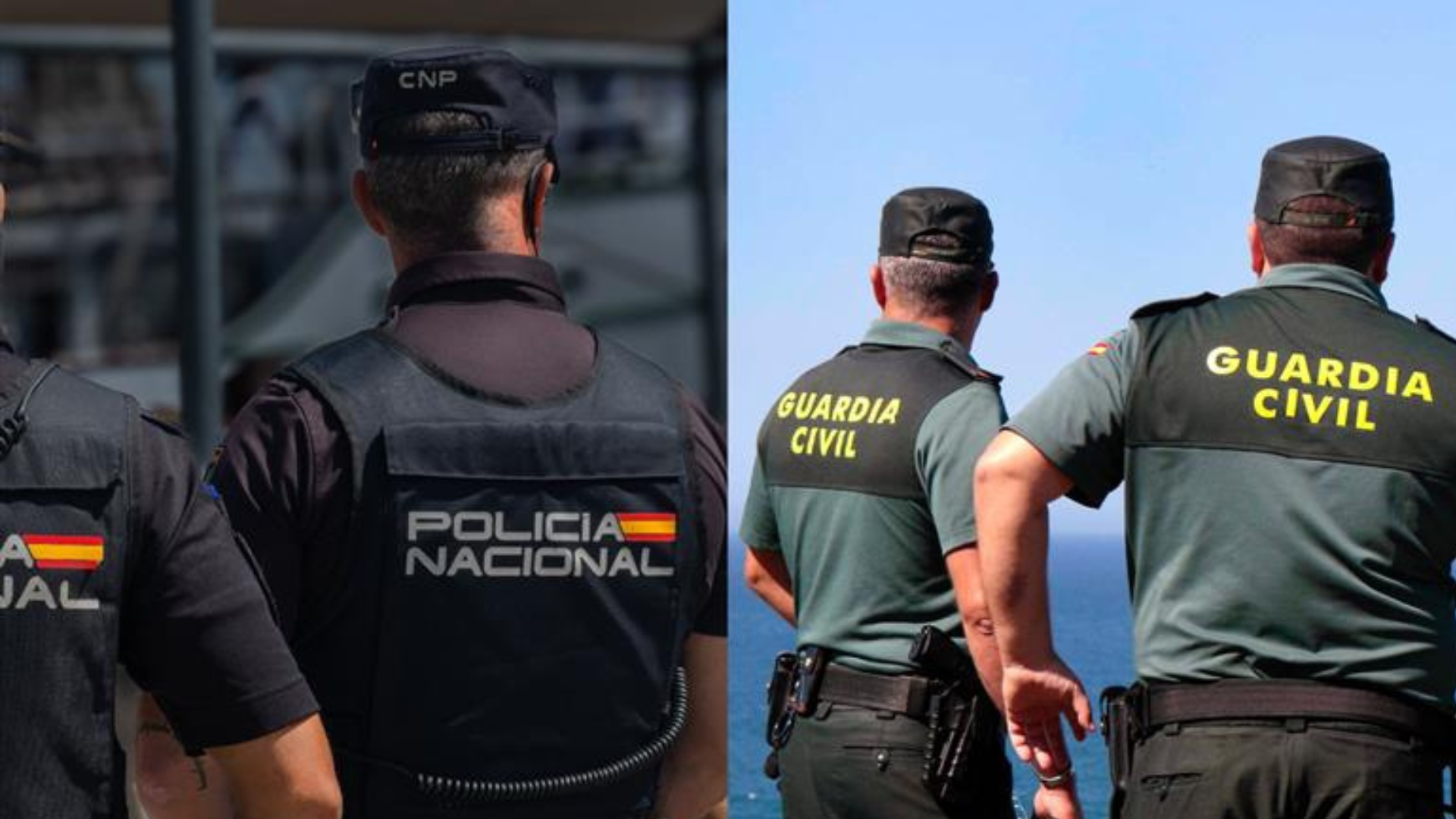 Imagen decorativa de la noticia